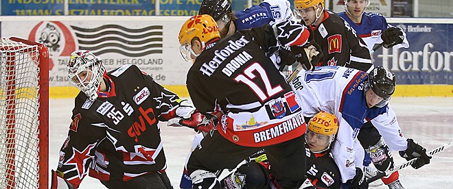 Pinguins wieder dran – Brisantes Derby in Frankfurt