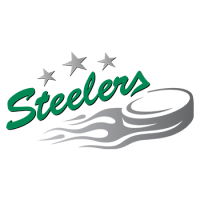 Bietigheim Steelers <b></b>