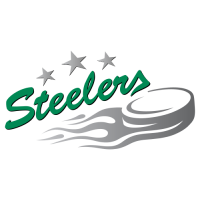 Bietigheim Steelers <b></b>
