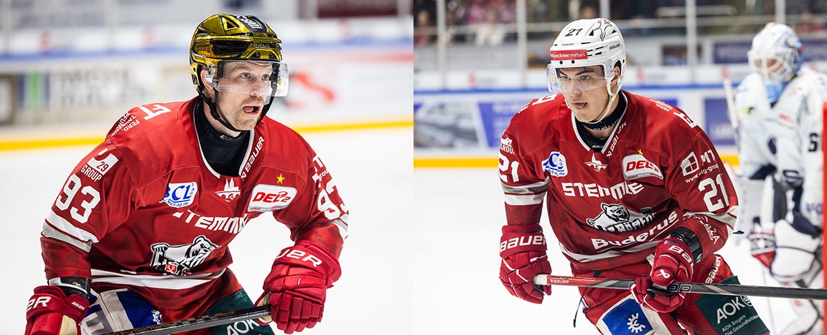 Personalentscheidungen bei den Eisbären: Fanliebling Angaran bleibt – Routinier Morley geht