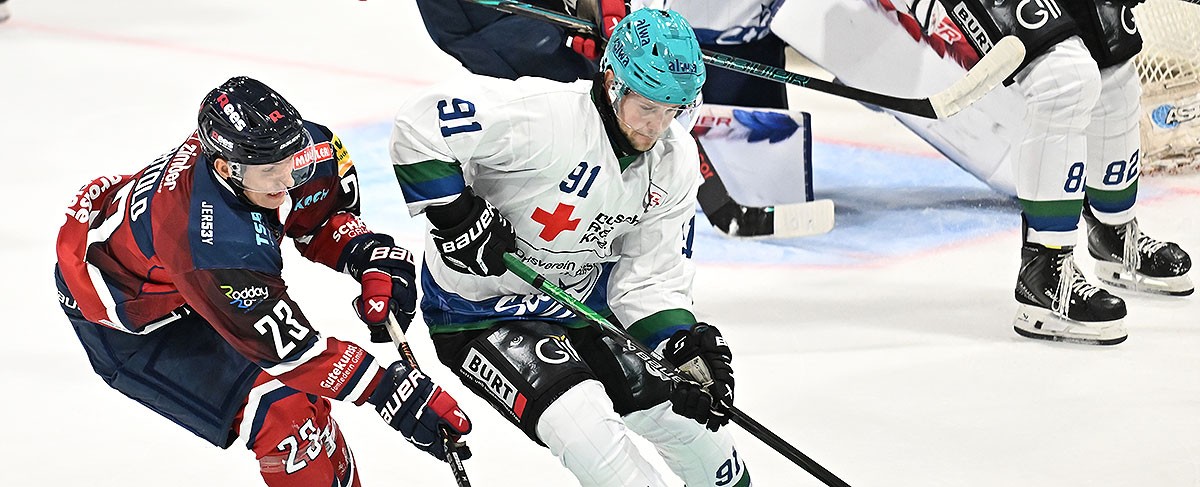 Eisbären und Füchse gewinnen Test-Turniere