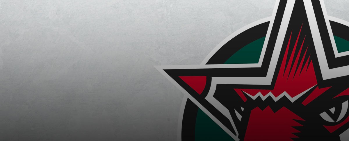 Umbruch nach Saisonende: Starbulls Rosenheim verabschieden neun Akteure