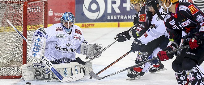 Optimismus in Dresden vor dem Showdown in Bremerhaven