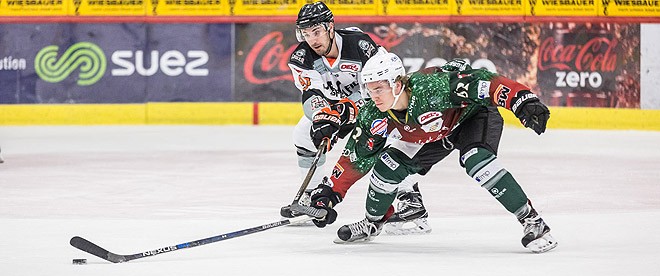 Bietigheim Steelers und Greg Gibson gehen getrennte Wege