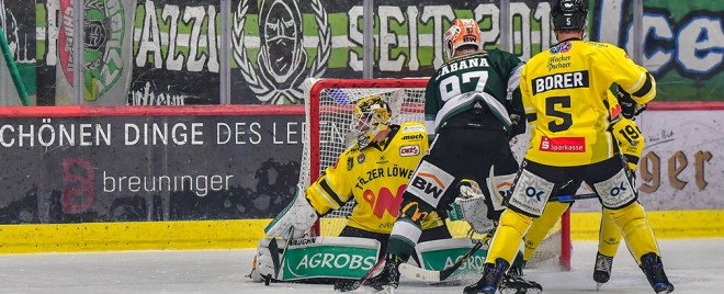 Tölzer Löwen empfangen die Bietigheim Steelers