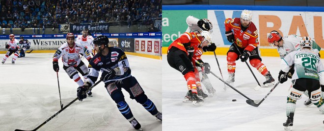 Kaufbeuren und Dresden stehen im Viertelfinale