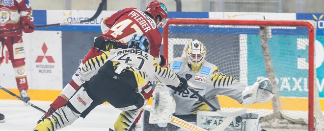 Landshut bejubelt Heimerfolg