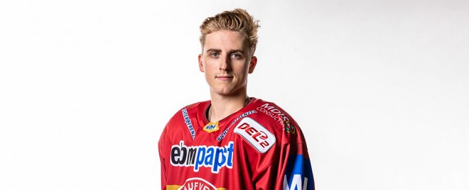 Krefeld Pinguine verpflichten Davis Koch