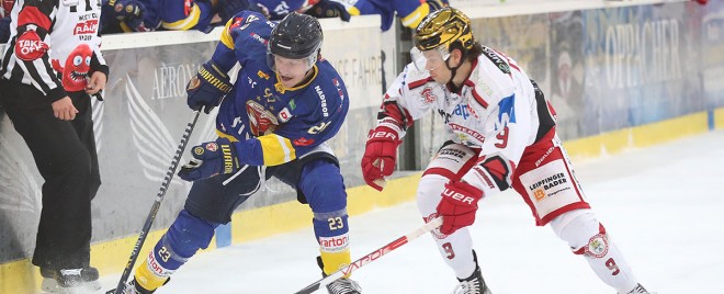 Weißwasser will beim Teddy Bear Toss punkten