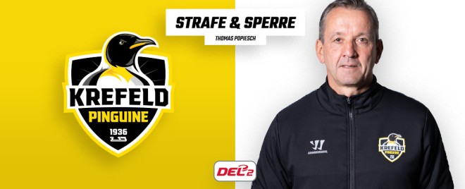 Drei Spiele Sperre für Krefeld Pinguine Cheftrainer Thomas Popiesch