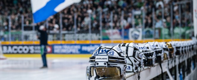 Großer Umbruch: 14 Abgänge bei den Bietigheim Steelers