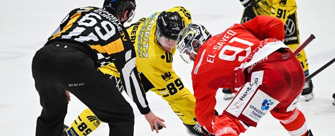 Starke Allianz: EC Bad Nauheim und Krefeld Pinguine kooperieren