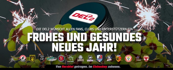 DEL2 wünscht alles Gute für 2021!