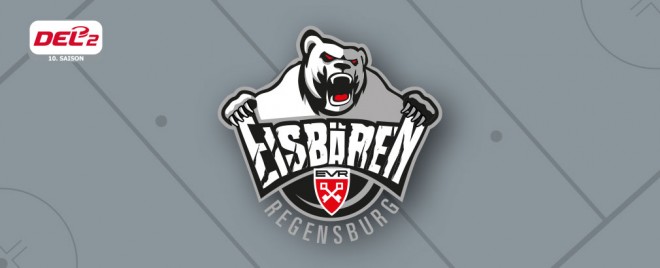 Eisbären treiben Professionalisierung voran