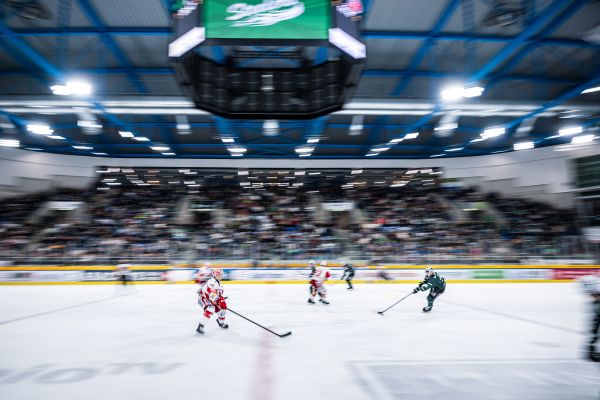 Timo Raiser - Bietigheim Steelers