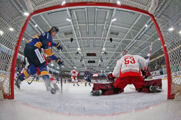 Thomas Heide - Lausitzer Füchse