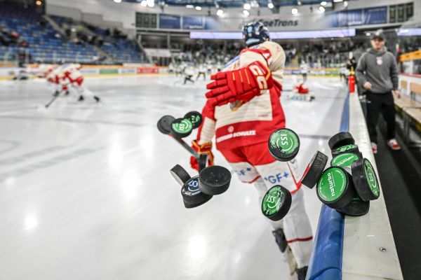 Birgit Häfner - Düsseldorfer EG
