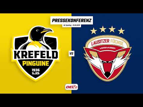 Pressekonferenz 50. Spieltag | Krefeld Pinguine - Lausitzer Füchse