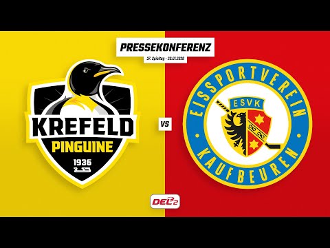 Pressekonferenz 37. Spieltag | Krefeld Pinguine - ESV Kaufbeuren
